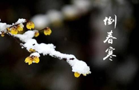 “倒春寒”來勢洶洶，殼寡糖讓作物安全度過“非常時期”！