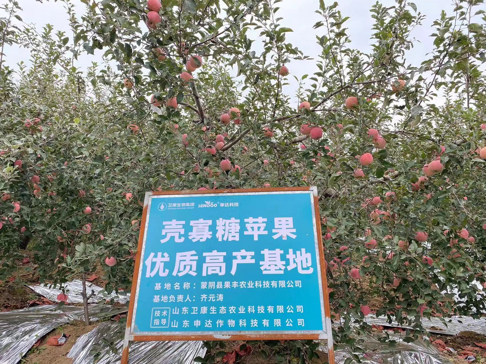 衛康殼寡糖蘋果上市了